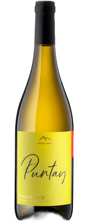 PINOT BIANCO PUNTAY
