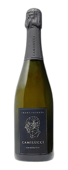 AMMONITES SATEN FRANCIACORTA
